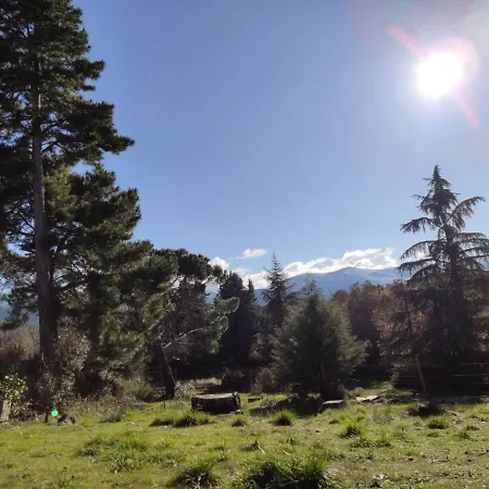 Casa Rural El Pinar Navas de Riofrio